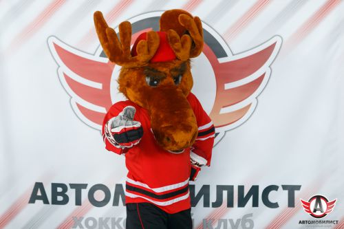 14.02.2016 "Автомобилист" на Лыжне России