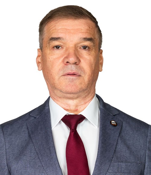 Нургалиев Айрат Фанилевич, Начальник команды