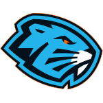 Динамо-Шинник