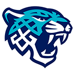 Снежные Барсы